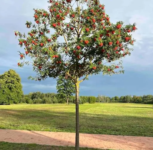 Mezapark Design Apartment Riga